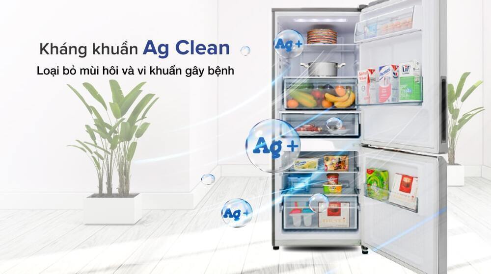 tủ lạnh panasonic inverter 255 lít nr-bv280qsvn