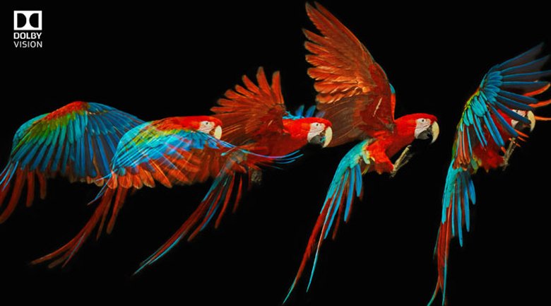 android tivi sony 4k 65 inch kd-65x95j