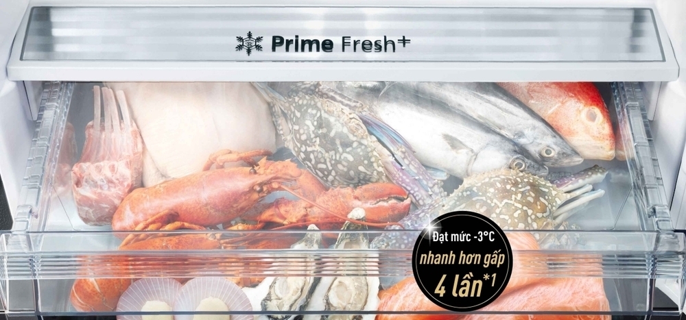 dòng tủ lạnh nr-bx471xgkv hai cánh mặt kính, ngăn đá dưới