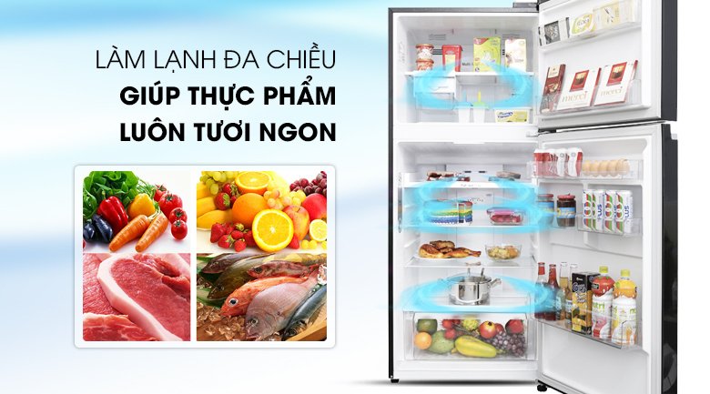 tủ lạnh lg inverter 393 lít gn-l422gb