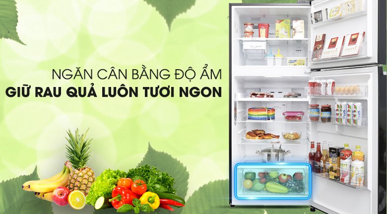 tủ lạnh lg inverter 393 lít gn-l422gb