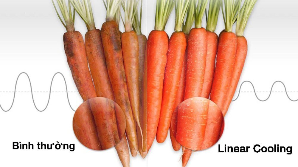 tủ lạnh lg inverter 335 lít gn-m332ps