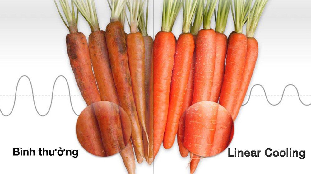 tủ lạnh lg inverter 334 lít gn-d332bl