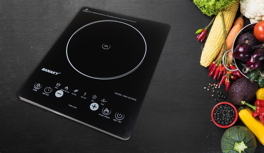 bếp hồng ngoại sanaky snk-2018hg