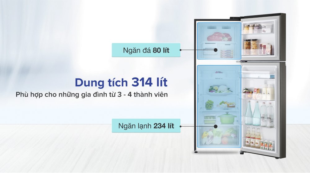 tủ lạnh lg inverter 314 lít gn-d312bl