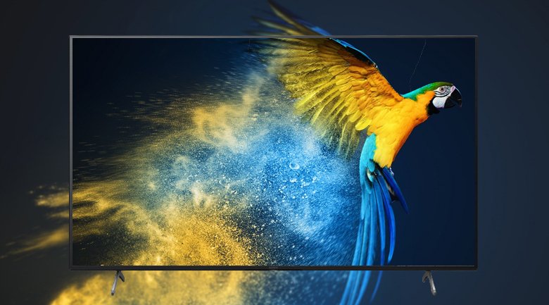 android tivi sony 4k 65 inch kd-65x80j
