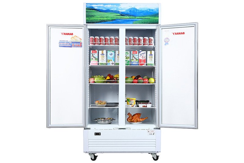 sanaky-inverter-davh-1009hp3