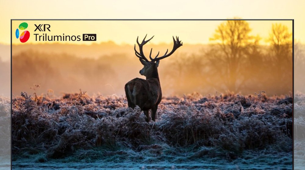 google tivi sony 4k 85 inch kd-85x85k