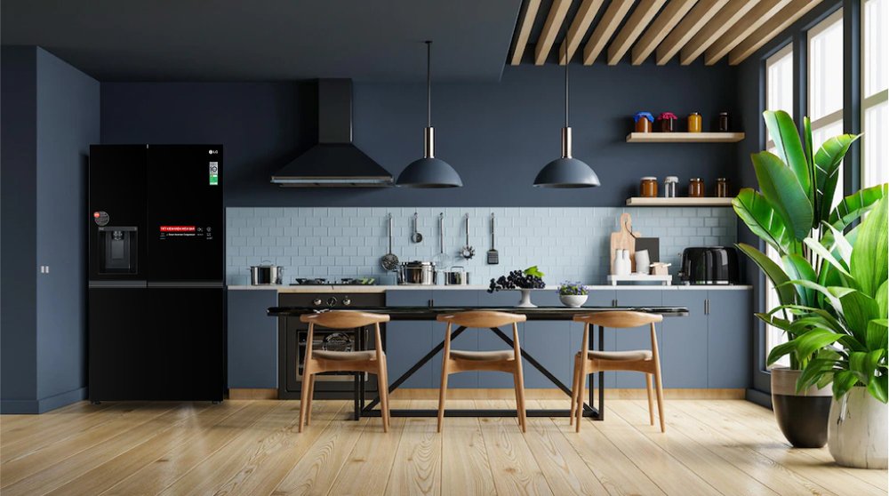 tủ lạnh lg inverter 635 lít gr-d257wb