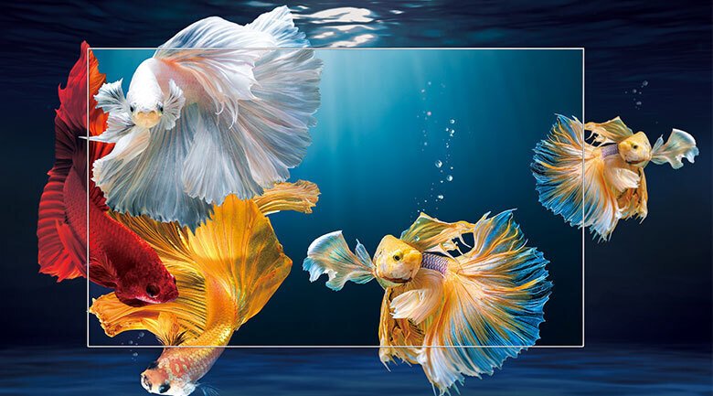 android tivi qled tcl 4k 50 inch 50q726