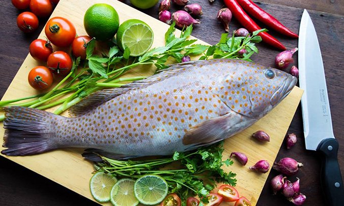 tủ lạnh mitsubishi electric inverter 555 lít mr-lx68em-gsl-v