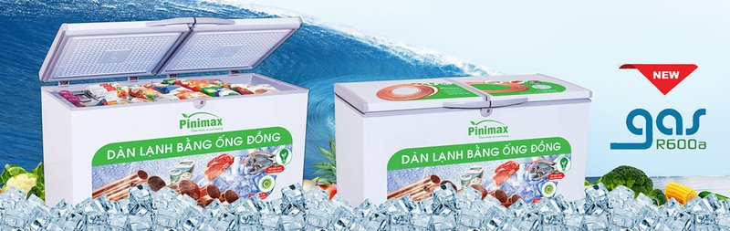 tủ đông pinimax inverter 390 lít pnm39af3