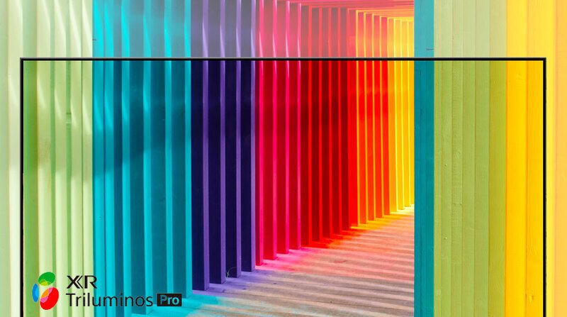 google tivi sony 4k 55 inch kd-55x81dk