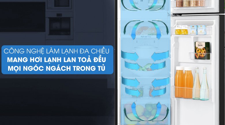 tủ lạnh lg inverter 266 lít gv-b262ps