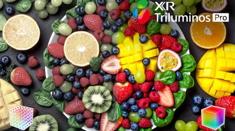 google tivi sony 4k 55 inch xr-55x90k