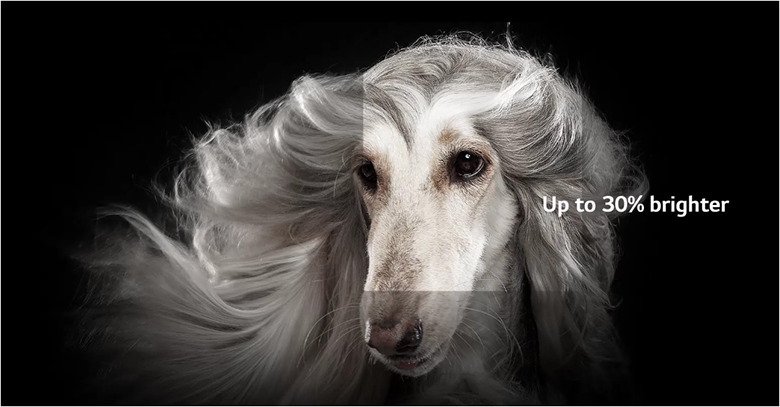 smart tivi oled lg 4k 55 inch oled55g2psa