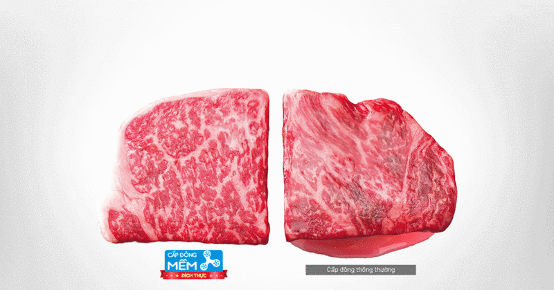 tủ lạnh mitsubishi electric inverter 506 lít mr-wx52d-f-v