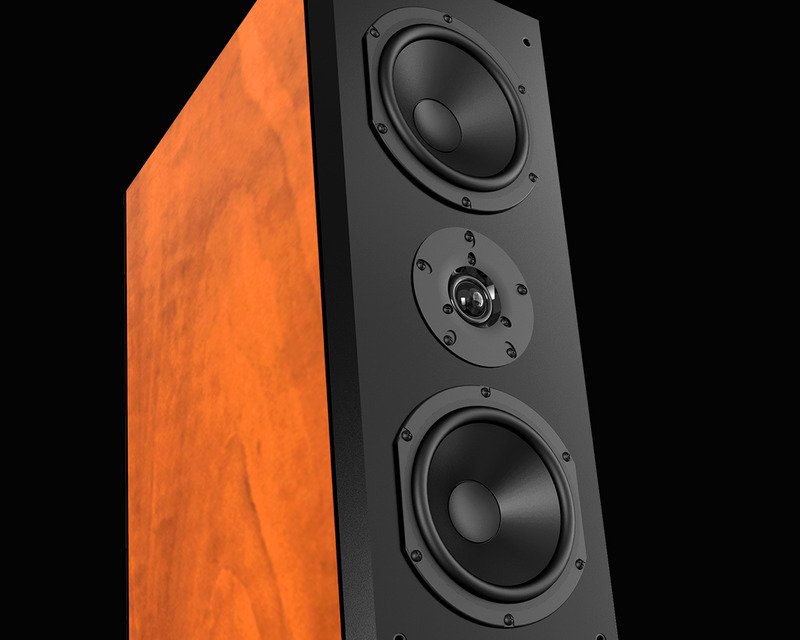 loa đứng paramax d88 limited