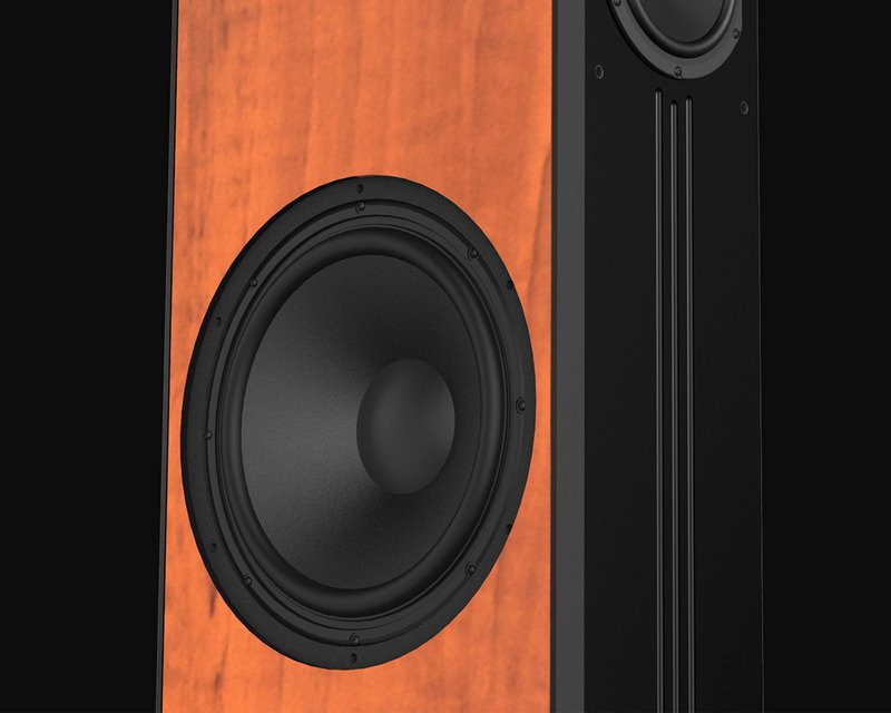 loa đứng paramax d88 limited