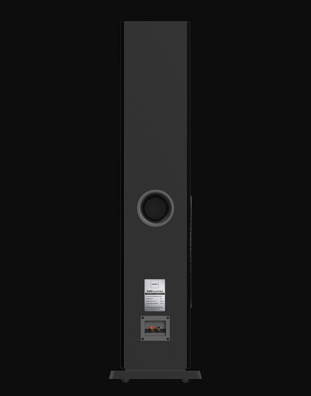 loa đứng paramax d88 limited