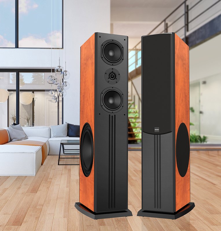 loa đứng paramax d88 limited