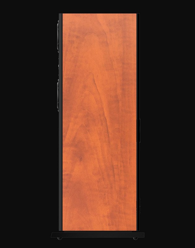 loa đứng paramax d88 limited