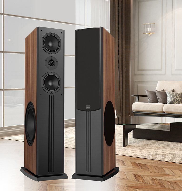 loa đứng paramax d88 limited