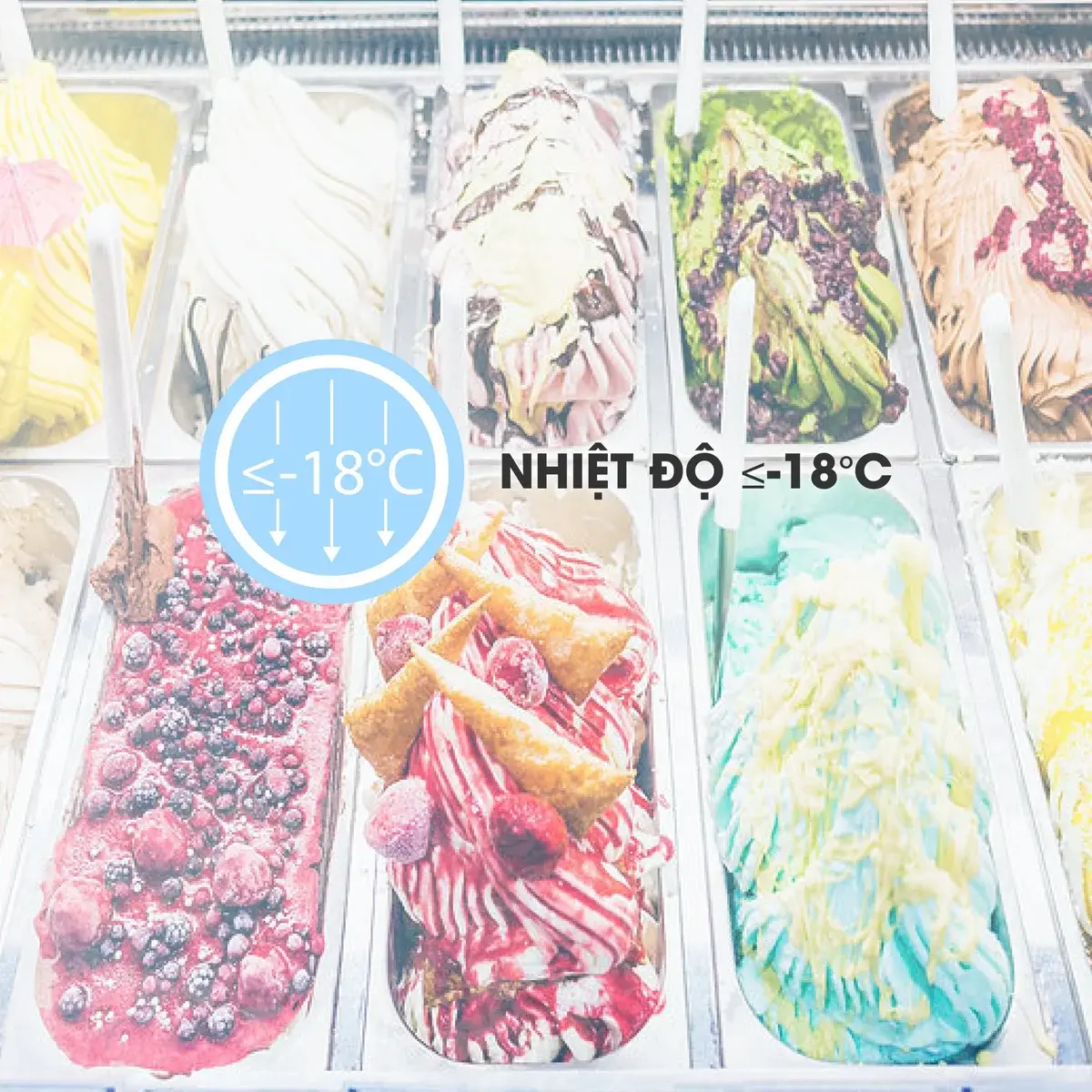 tủ đông sanaky 516 lít vh-999k