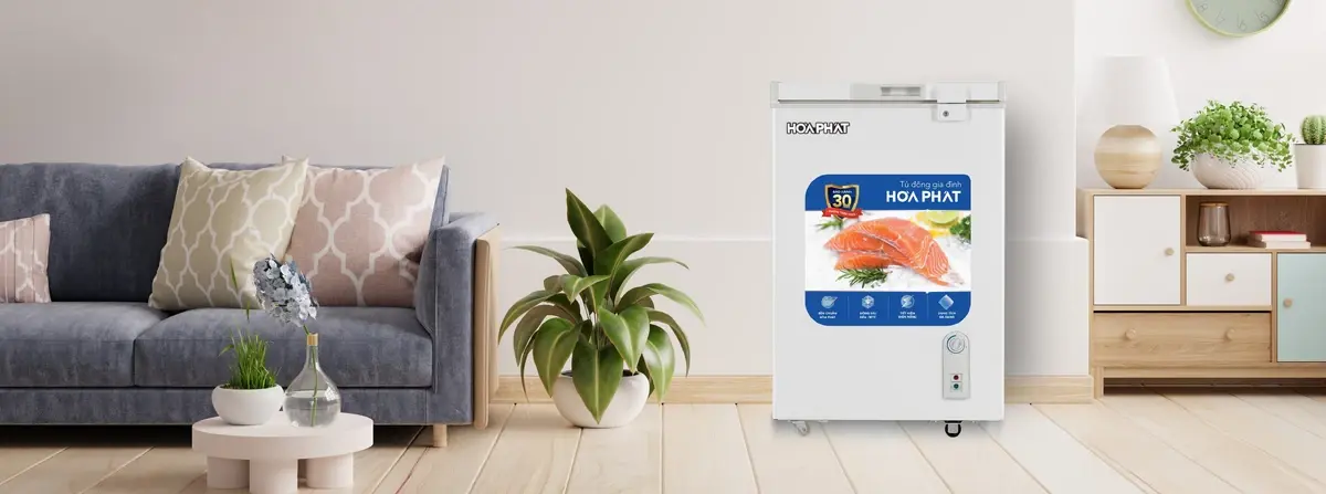 tủ đông hòa phát hpf an6162 162 lít dàn nhôm