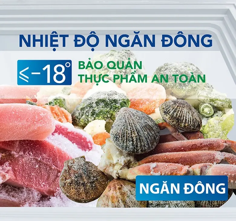tủ đông hòa phát 1 cánh 252 lít hcf 516s1đ1