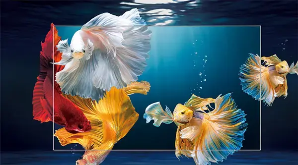 android tivi sony oled 4k 55 inch xr-55a80j