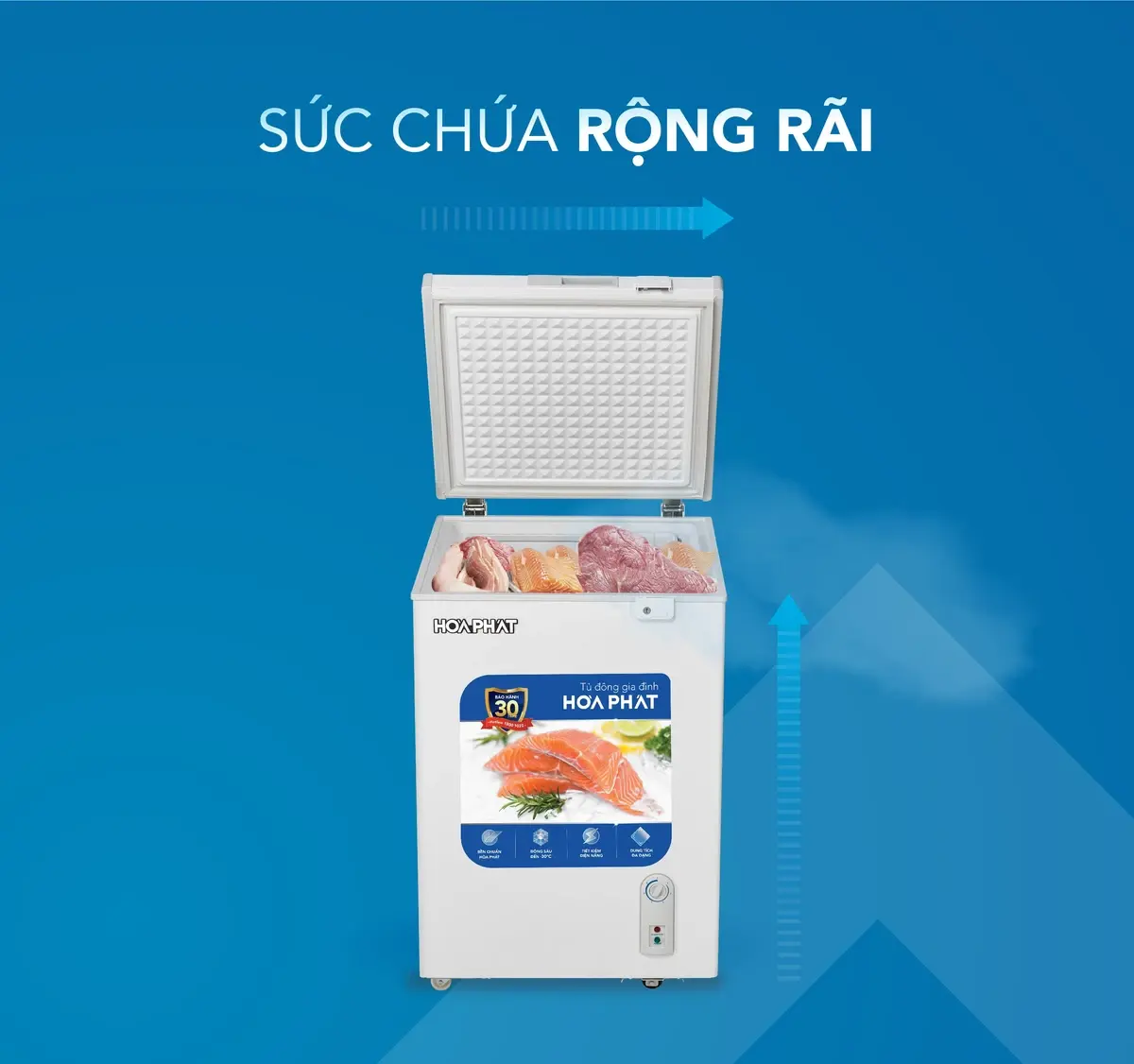 tủ đông hòa phát hpf an6162 162 lít dàn nhôm
