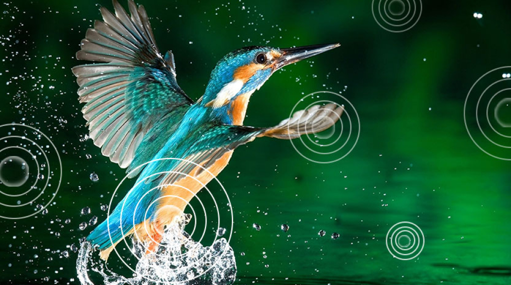 android tivi casper 32 inch 32hga510