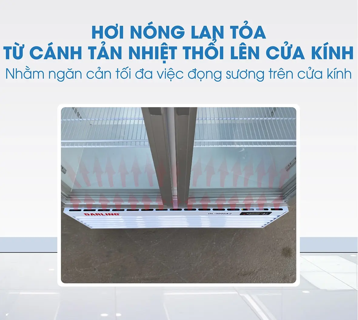 tủ mát darling dl-9000a2 dung tích 830 lít, dàn đồng, 2 cánh mở