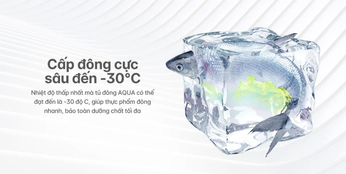 tủ đông aqua 503 lít aqf-c6102e
