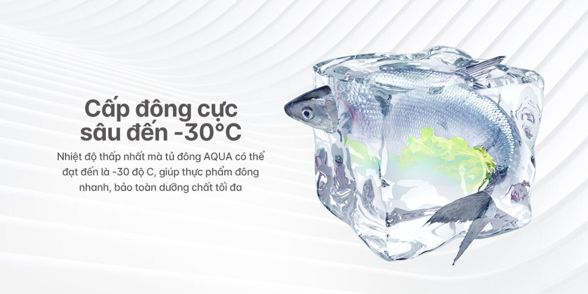 tủ đông aqua 301 lít aqf-c4001s