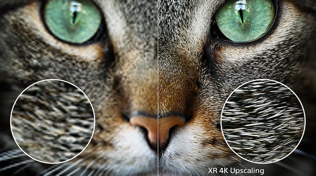 google tivi miniled sony 4k 65 inch xr-65x95l