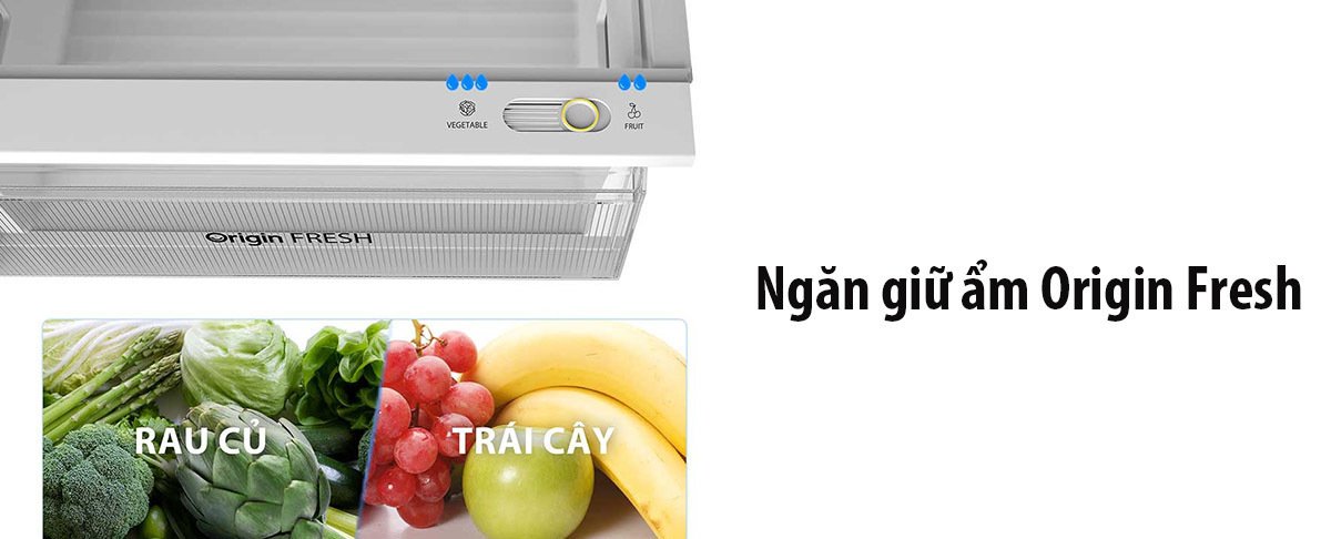 tủ lạnh toshiba inverter 312 lít gr-rt416we-pmv(58)-mm