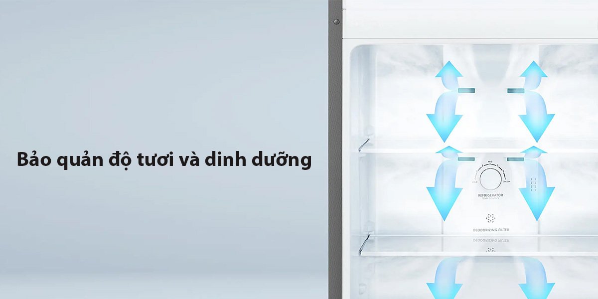 tủ lạnh hisense inverter 246 lít ht27wb