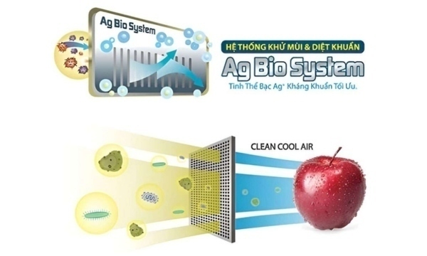 tủ lạnh toshiba inverter 233 lít gr-rt303we-pmv(52)