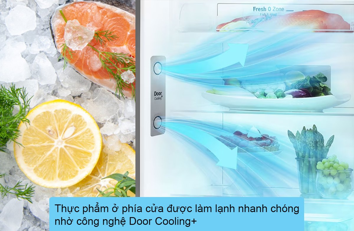 tủ lạnh lg smart inverter 395 lít gn-b392bg