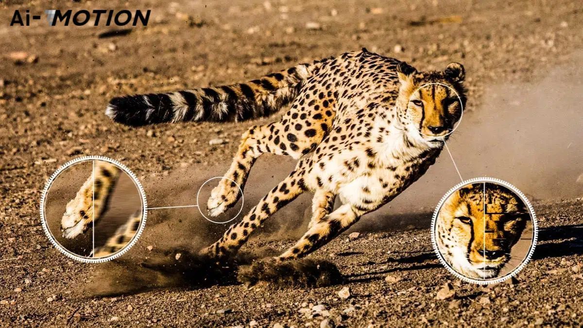 google tivi tcl qled 4k 55 inch 55c645