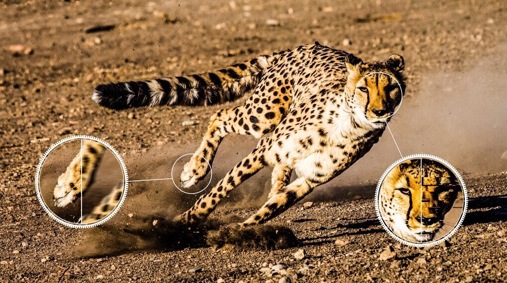 google tivi qled tcl 4k 65 inch 65c69b