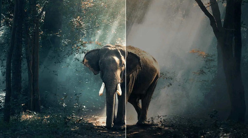 google tivi qled tcl 4k 55 inch 55c69b