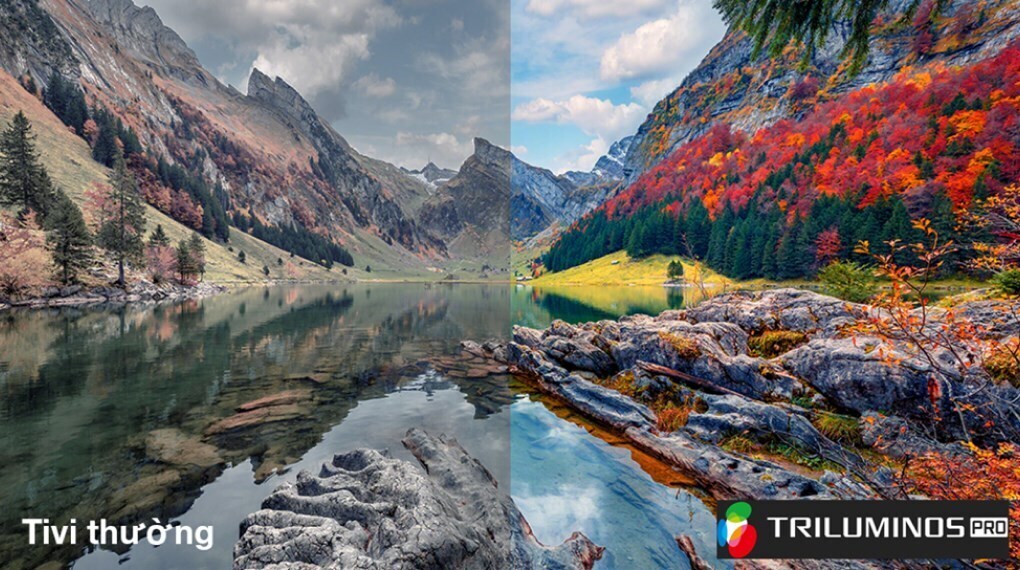 google tivi sony 4k 43 inch k-43s30 mới 2024