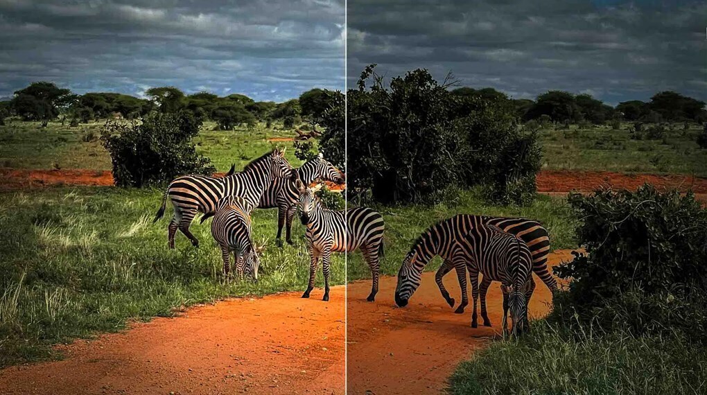 google tv tcl 4k 55 inch 55p79b