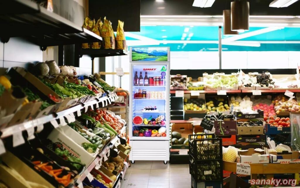 tủ mát sanaky 250 lít vh-2589k dàn đồng