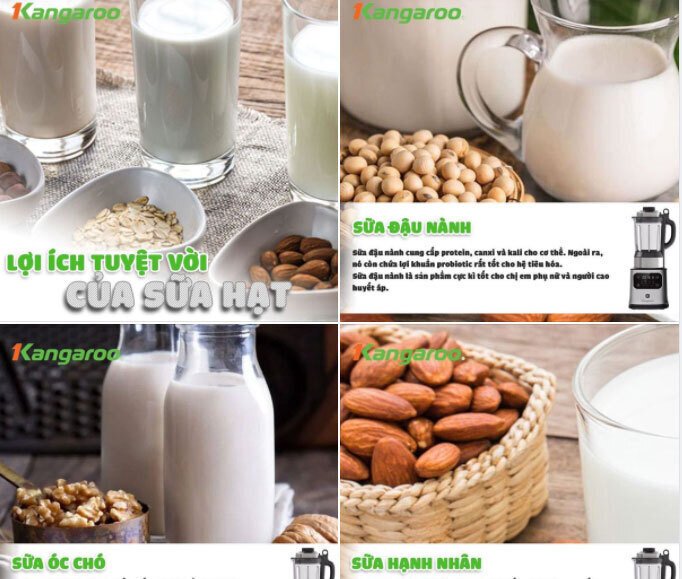 máy xay nấu đa năng kangaroo kg175hb1