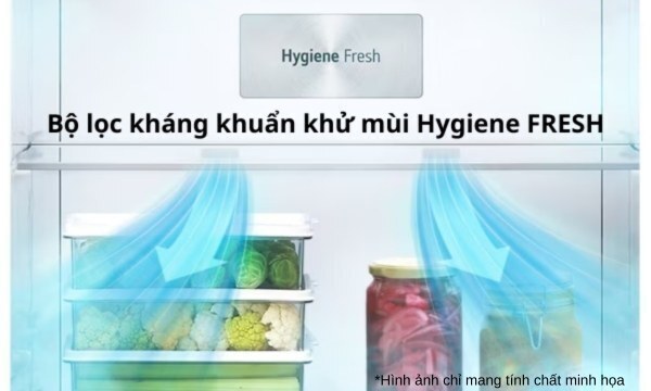 tủ lạnh lg inverter 459 lít ltd46svma