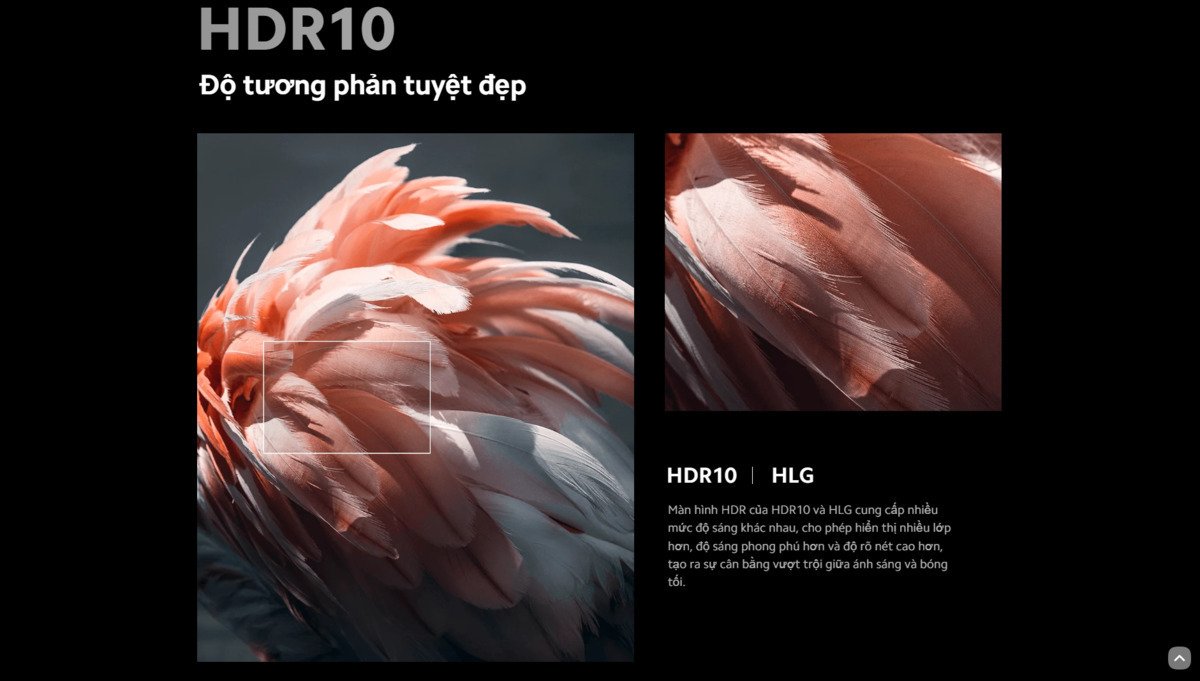 google tivi xiaomi a 4k 55 inch l55ma-asea